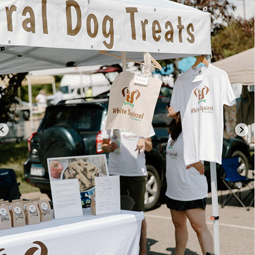 Image Title Alt Image