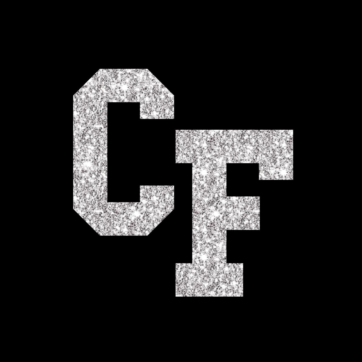 Glitter 1 Color-GL1181-The Teehive