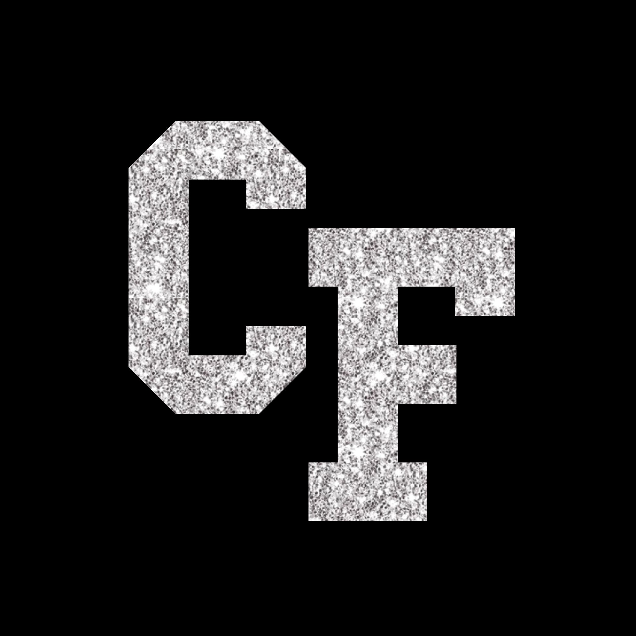 Glitter 1 Color-GL1181-The Teehive