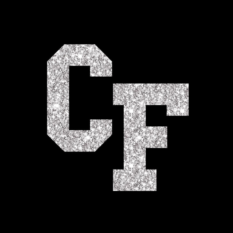 Glitter 1 Color-GL1181-The Teehive