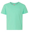 JERZEES - Heavyweight Blend™ 50/50 Youth T-Shirt - 29BR