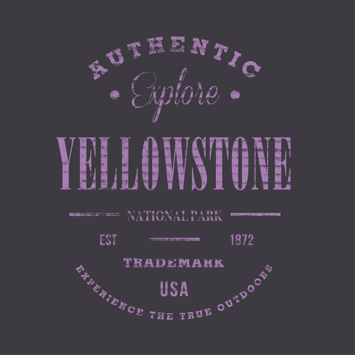 Screen Print 1 Color-SP2804-The Teehive