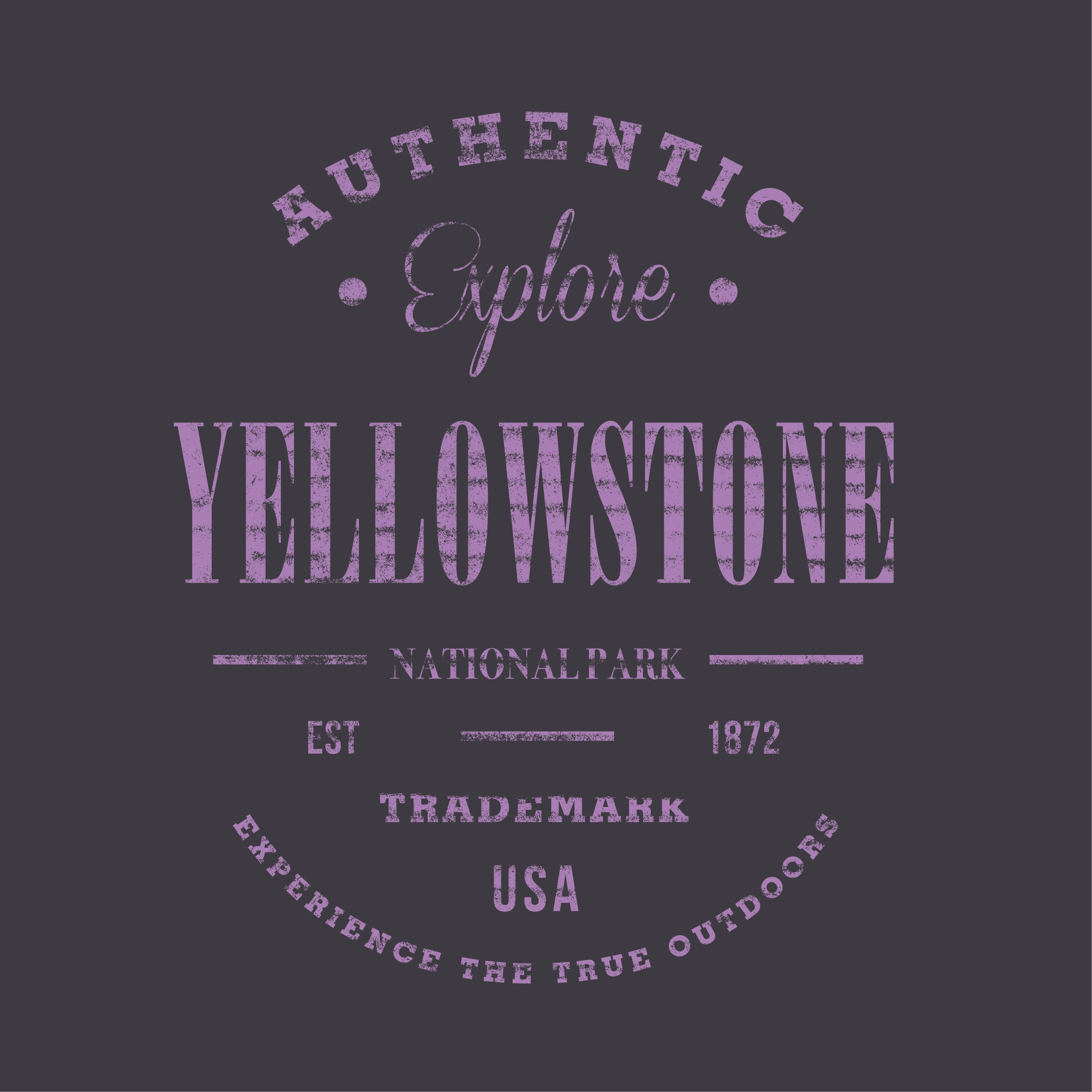 Screen Print 1 Color-SP2804-The Teehive